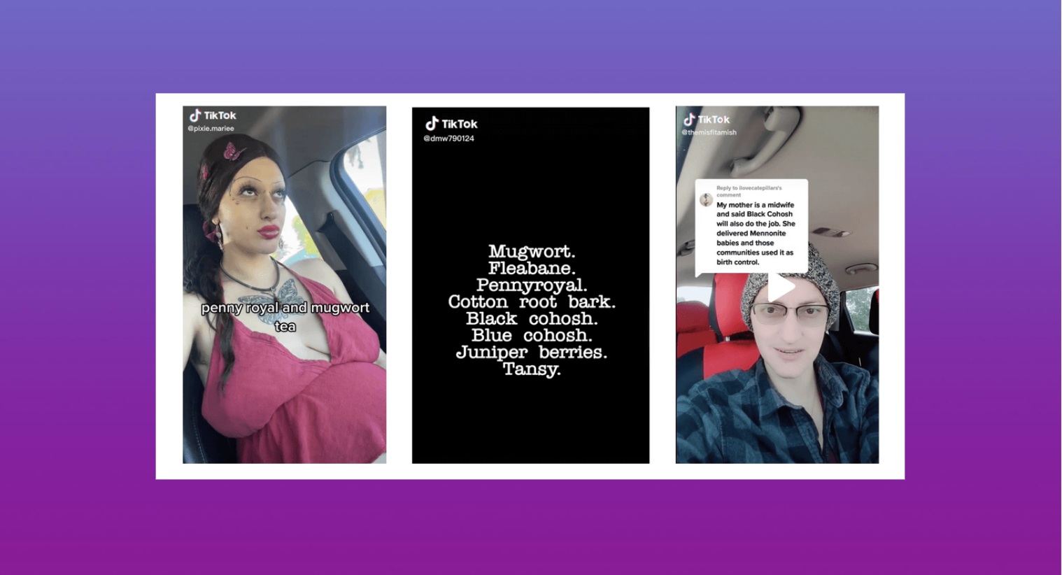 Three TikTok posts promoting unproven herbal abortion methods: a pregnant person recommends pennyroyal and mugwort tea, a text slide lists multiple herbs such as mugwort, fleabane, cotton root bark and tansy, and another user in a car endorses black cohosh