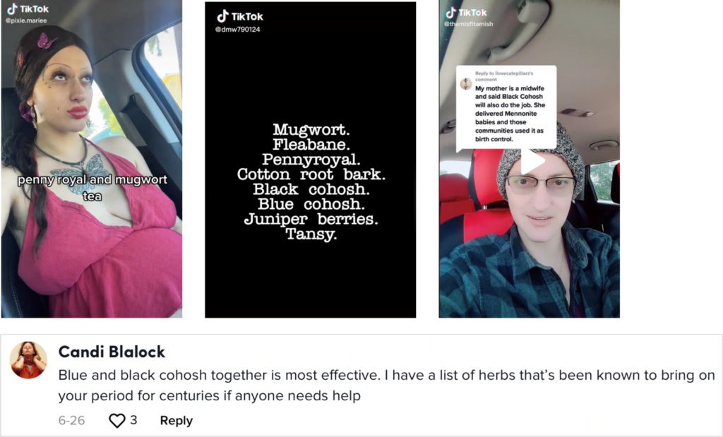 Collage of TikTok screenshots and a comment recommending herbs such as mugwort, pennyroyal, black cohosh and cotton root bark as DIY abortion methods