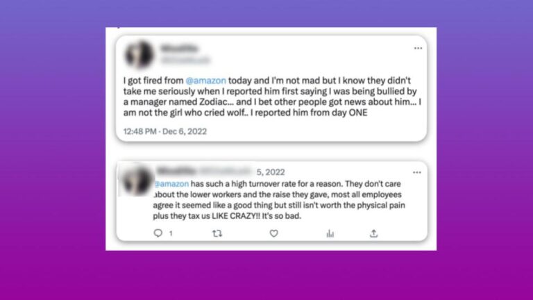 Two tweets with usernames blurred where self-identified Amazon workers describe being bullied and fired, criticizing the company’s high turnover, low concern for lower-level staff, and taxing work conditions