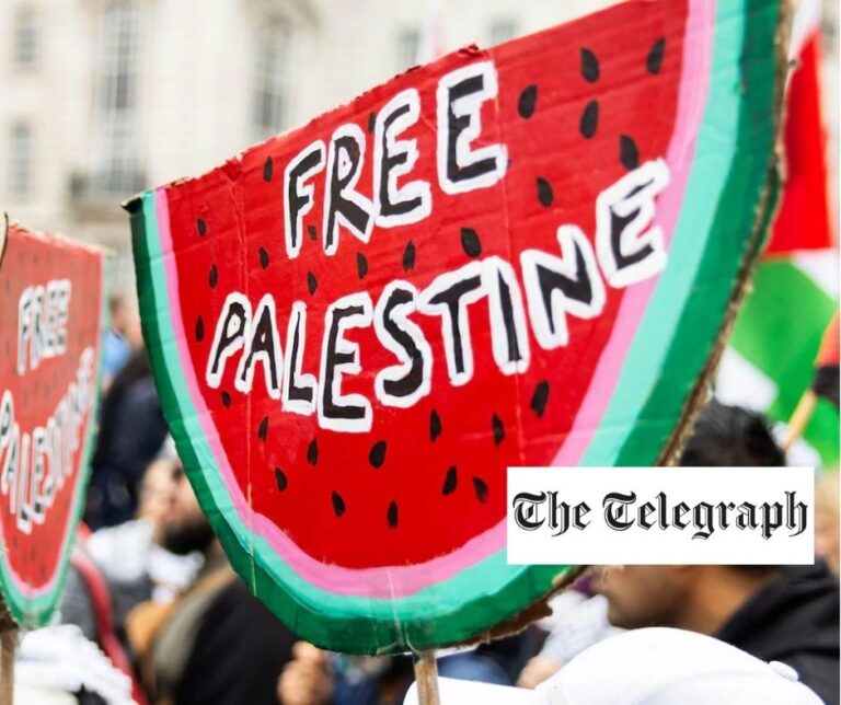 Cardboard sign shaped like a watermelon slice reading “Free Palestine” held at a demonstration, with The Telegraph logo overlay