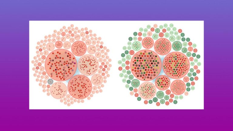 Two clustered bubble charts comparing social-media account networks, highlighting account sizes and sentiment colors in an analysis of the DeepSeek AI coordinated fake campaign
