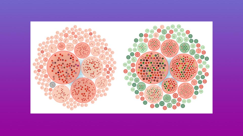 Two clustered bubble charts comparing social-media account networks, highlighting account sizes and sentiment colors in an analysis of the DeepSeek AI coordinated fake campaign
