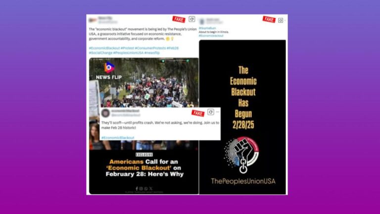 Collage of fabricated social media posts promoting an economic blackout on February 28, 2025, featuring a protest crowd photo, headline snippets, and a black poster with a fist-and-chain logo, all marked fake