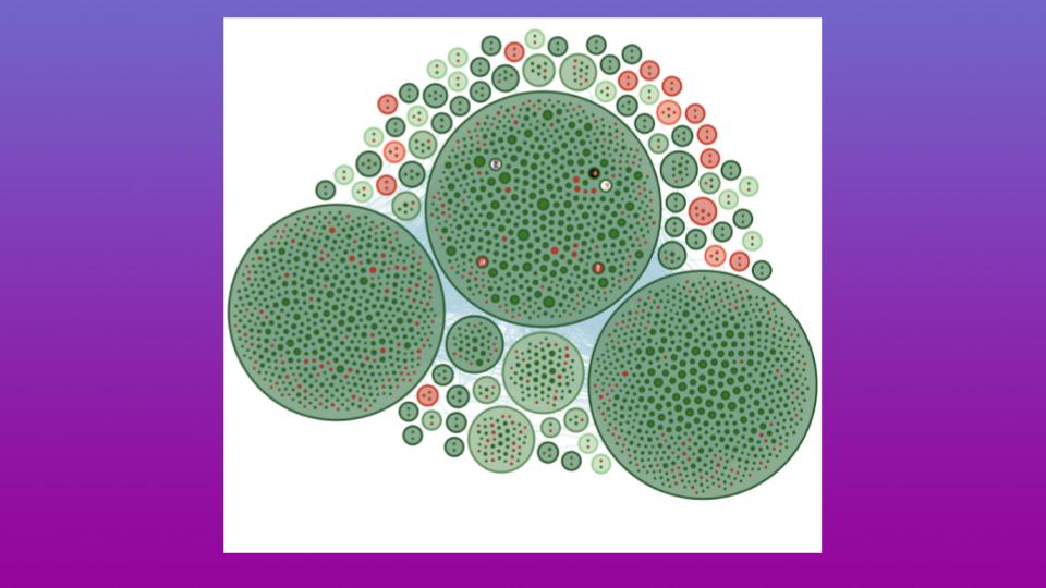 Nepal’s Protests Show Fake Profiles Driving Real Impact