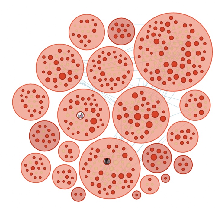 Bubble network chart showing interconnected clusters of online accounts, with varying node sizes and lines indicating interactions among bot networks amplifying controversial voices