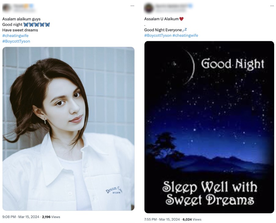 Two social media posts side by side mention #BoycottTyson and #cheatingwife; the left post includes a portrait of a young woman in a white shirt, while the right post displays a dark blue night sky graphic with the text 'Good Night, Sleep Well with Sweet Dreams'.