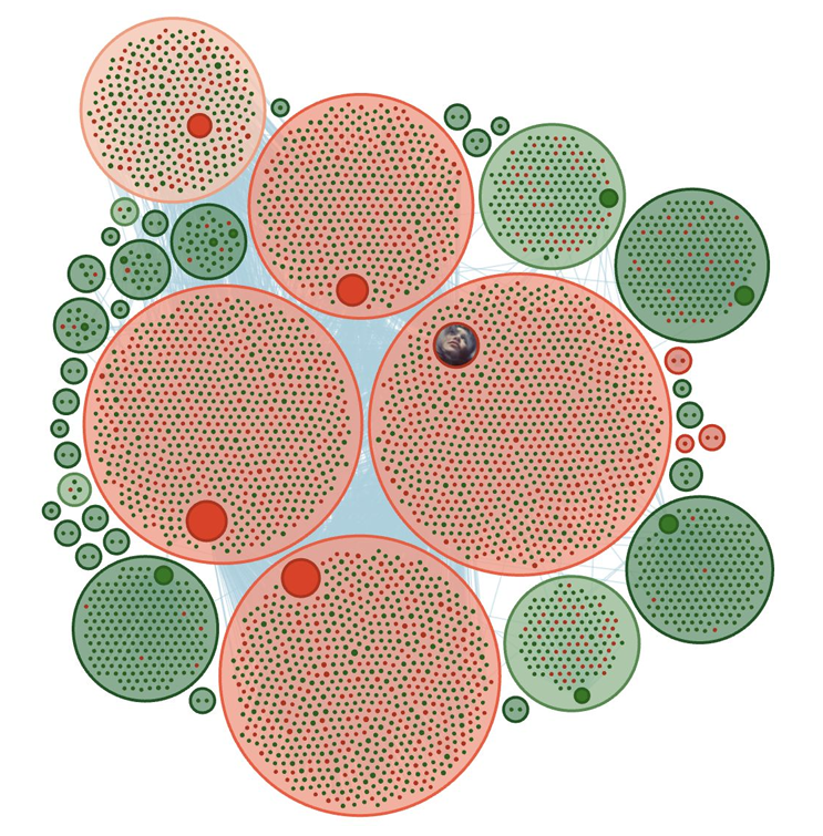 Circular network chart showing clusters of social media accounts linked to an Iranian influence operation, with large red circles of suspected bots at the center and smaller green circles of authentic users around the perimeter, all connected by faint blue edges