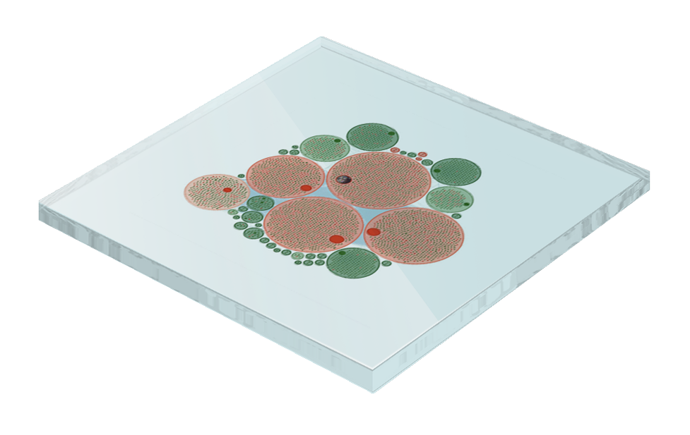 Coordinated Inauthentic Behavior (CIB) Mapping