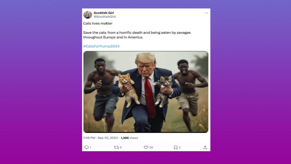 2024 US Presidential Elections Highlights